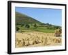 Oat Stooks, Knockshee, Mourne Mountains, County Down, Ulster, Northern Ireland, UK, Europe-Jeremy Lightfoot-Framed Photographic Print