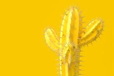 Cactus Yellow Color for Background-oatintro-Photographic Print
