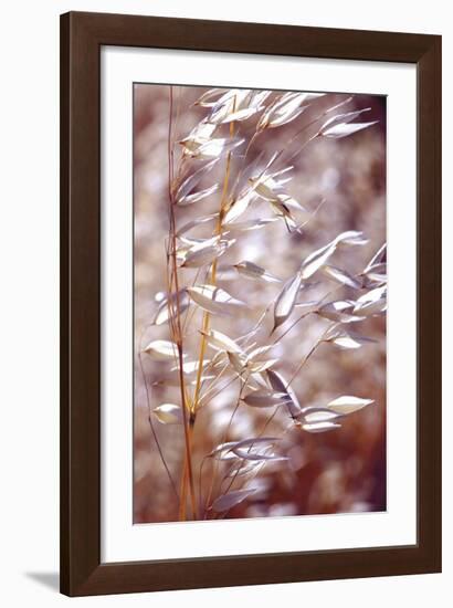 Oats 1-Ken Bremer-Framed Giclee Print