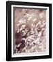 Oats 3-Ken Bremer-Framed Giclee Print