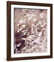 Oats 3-Ken Bremer-Framed Giclee Print