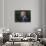 Obama-Carolyn Kaster-Premium Photographic Print displayed on a wall