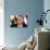 Obama-Jacquelyn Martin-Photographic Print displayed on a wall