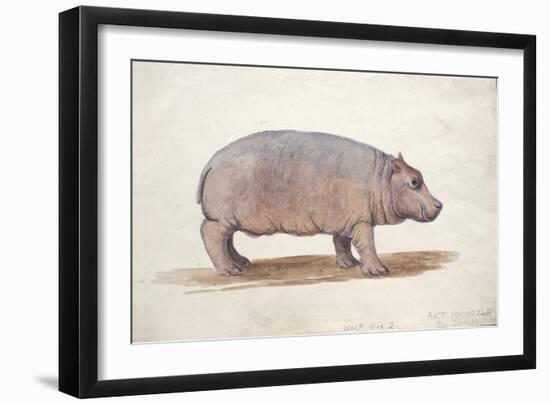 Obaysch, C.1850-Joseph Wolf-Framed Giclee Print