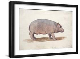 Obaysch, C.1850-Joseph Wolf-Framed Giclee Print