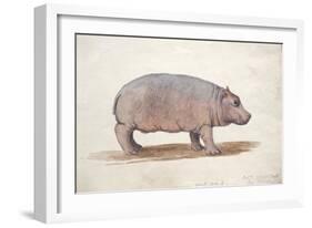 Obaysch, C.1850-Joseph Wolf-Framed Giclee Print