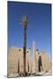 Obelisk, 25 Meters High in Front of Plyon 65 Meters Wide, Luxor Temple-Richard Maschmeyer-Mounted Photographic Print