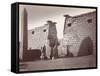 Obelisk and Colossi at the Temple of Luxor-null-Framed Stretched Canvas