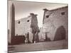 Obelisk and Colossi at the Temple of Luxor-null-Mounted Photographic Print