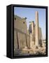 Obelisk and Pylon of Ramesses II, Luxor Temple, Luxor, Thebes, Egypt-Philip Craven-Framed Stretched Canvas