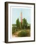 Obelisk at Heliopolis, Egypt, C1870-W Dickens-Framed Giclee Print