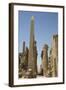 Obelisk of Tuthmosis, Karnak Temple, Luxor, Thebes, Egypt, North Africa, Africa-Richard Maschmeyer-Framed Photographic Print