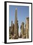 Obelisk of Tuthmosis, Karnak Temple, Luxor, Thebes, Egypt, North Africa, Africa-Richard Maschmeyer-Framed Photographic Print