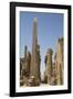 Obelisk of Tuthmosis, Karnak Temple, Luxor, Thebes, Egypt, North Africa, Africa-Richard Maschmeyer-Framed Photographic Print