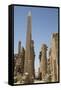 Obelisk of Tuthmosis, Karnak Temple, Luxor, Thebes, Egypt, North Africa, Africa-Richard Maschmeyer-Framed Stretched Canvas