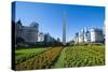 Obelisk on Plaza Republica, Buenos Aires, Argentina, South America-Michael Runkel-Stretched Canvas