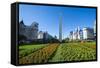 Obelisk on Plaza Republica, Buenos Aires, Argentina, South America-Michael Runkel-Framed Stretched Canvas