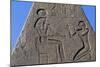 Obelisk with Reliefs and Inscriptions of Ramses II, Great Temple of Amun, Tanis, Egypt-null-Mounted Giclee Print