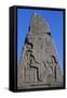 Obelisk with Reliefs and Inscriptions of Ramses II, Great Temple of Amun, Tanis, Egypt-null-Framed Stretched Canvas