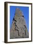 Obelisk with Reliefs and Inscriptions of Ramses II, Great Temple of Amun, Tanis, Egypt-null-Framed Giclee Print