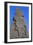 Obelisk with Reliefs and Inscriptions of Ramses II, Great Temple of Amun, Tanis, Egypt-null-Framed Giclee Print