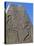 Obelisk with Reliefs and Inscriptions of Ramses II, Great Temple of Amun, Tanis, Egypt-null-Stretched Canvas