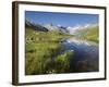 Oberaarhorn, Oberaargletscher, Triebtenseewli, Grimselpass, the Bernese Oberland, Switzerland-Rainer Mirau-Framed Photographic Print