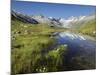 Oberaarhorn, Oberaargletscher, Triebtenseewli, Grimselpass, the Bernese Oberland, Switzerland-Rainer Mirau-Mounted Photographic Print