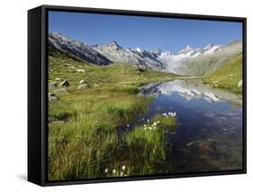 Oberaarhorn, Oberaargletscher, Triebtenseewli, Grimselpass, the Bernese Oberland, Switzerland-Rainer Mirau-Framed Stretched Canvas