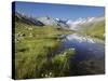Oberaarhorn, Oberaargletscher, Triebtenseewli, Grimselpass, the Bernese Oberland, Switzerland-Rainer Mirau-Stretched Canvas