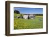 Oberfallengrundhof, in the spring, Gütenbach, Black Forest, Baden-Wurttemberg, Germany-Markus Lange-Framed Photographic Print