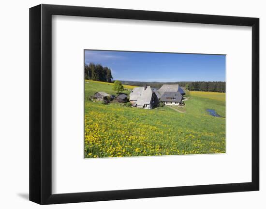 Oberfallengrundhof, in the spring, Gütenbach, Black Forest, Baden-Wurttemberg, Germany-Markus Lange-Framed Photographic Print