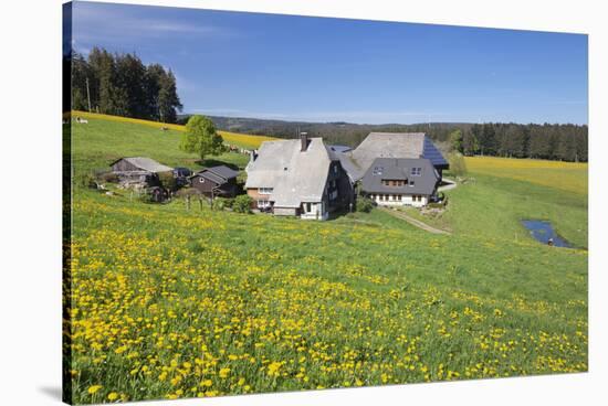 Oberfallengrundhof, in the spring, Gütenbach, Black Forest, Baden-Wurttemberg, Germany-Markus Lange-Stretched Canvas