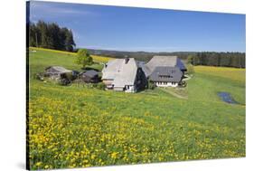 Oberfallengrundhof, in the spring, Gütenbach, Black Forest, Baden-Wurttemberg, Germany-Markus Lange-Stretched Canvas