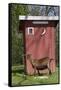 Oberhasli Dairy Goat Standing by Outhouse, East Troy, Wisconsin, USA-Lynn M^ Stone-Framed Stretched Canvas