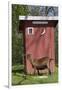 Oberhasli Dairy Goat Standing by Outhouse, East Troy, Wisconsin, USA-Lynn M^ Stone-Framed Photographic Print