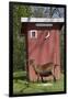 Oberhasli Dairy Goat Standing by Outhouse, East Troy, Wisconsin, USA-Lynn M^ Stone-Framed Photographic Print
