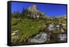 Oberlin Creek with Mount Clements at Logan Pass in Glacier National Park, Montana, USA-Chuck Haney-Framed Stretched Canvas