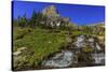 Oberlin Creek with Mount Clements at Logan Pass in Glacier National Park, Montana, USA-Chuck Haney-Stretched Canvas