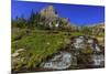 Oberlin Creek with Mount Clements at Logan Pass in Glacier National Park, Montana, USA-Chuck Haney-Mounted Premium Photographic Print