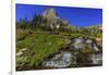 Oberlin Creek with Mount Clements at Logan Pass in Glacier National Park, Montana, USA-Chuck Haney-Framed Photographic Print