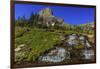 Oberlin Creek with Mount Clements at Logan Pass in Glacier National Park, Montana, USA-Chuck Haney-Framed Photographic Print