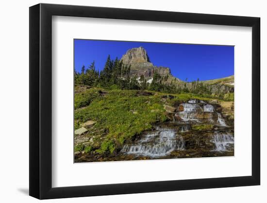 Oberlin Creek with Mount Clements at Logan Pass in Glacier National Park, Montana, USA-Chuck Haney-Framed Photographic Print