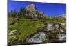 Oberlin Creek with Mount Clements at Logan Pass in Glacier National Park, Montana, USA-Chuck Haney-Mounted Photographic Print