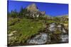 Oberlin Creek with Mount Clements at Logan Pass in Glacier National Park, Montana, USA-Chuck Haney-Stretched Canvas