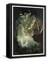 Oberon And The Mermaid-Douglas Harvey-Framed Stretched Canvas