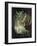 Oberon And The Mermaid-Douglas Harvey-Framed Art Print