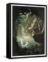 Oberon And The Mermaid-Douglas Harvey-Framed Stretched Canvas