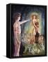 Oberon and Titania-Judy Mastrangelo-Framed Stretched Canvas