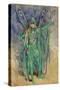 Oberon, Costume "A Midsummer Night's Dream", Produced Courtneidge, Princes Theatre, Manchester-C. Wilhelm-Stretched Canvas